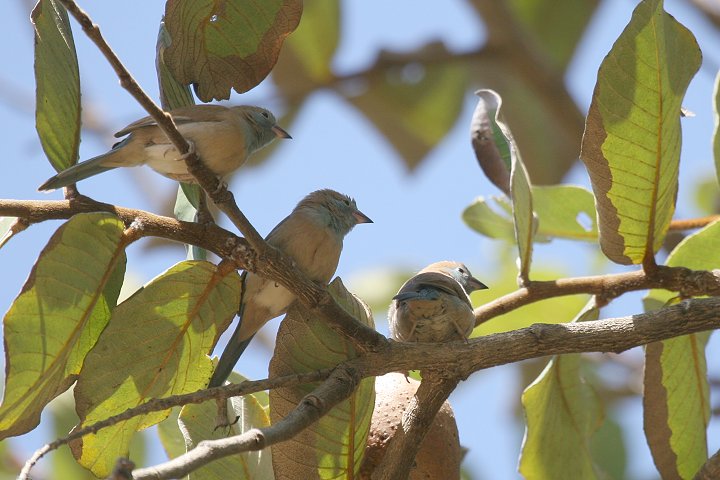 �Z�C�L�`���E