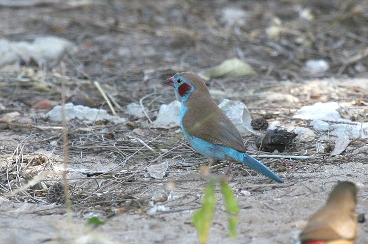 �Z�C�L�`���E