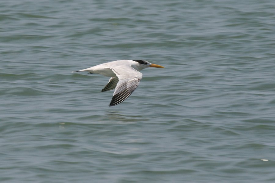 �A�����J�I�I�A�W�T�V