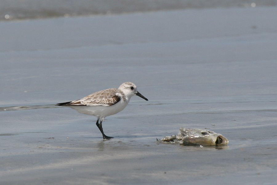 �~���r�V�M