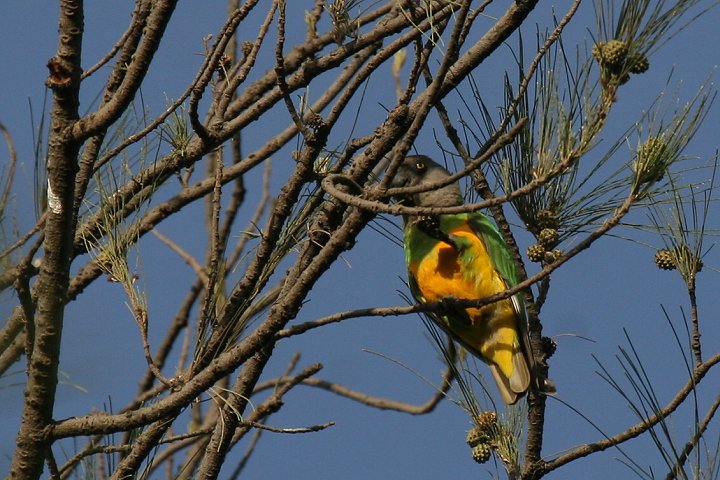 �l�Y�~�K�V���n�l�i�K�C���R