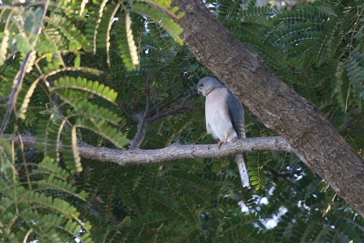 �^�J�T�S�_�J