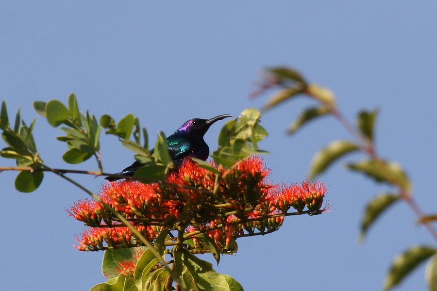 �j�V�L�^�C���E�`���E