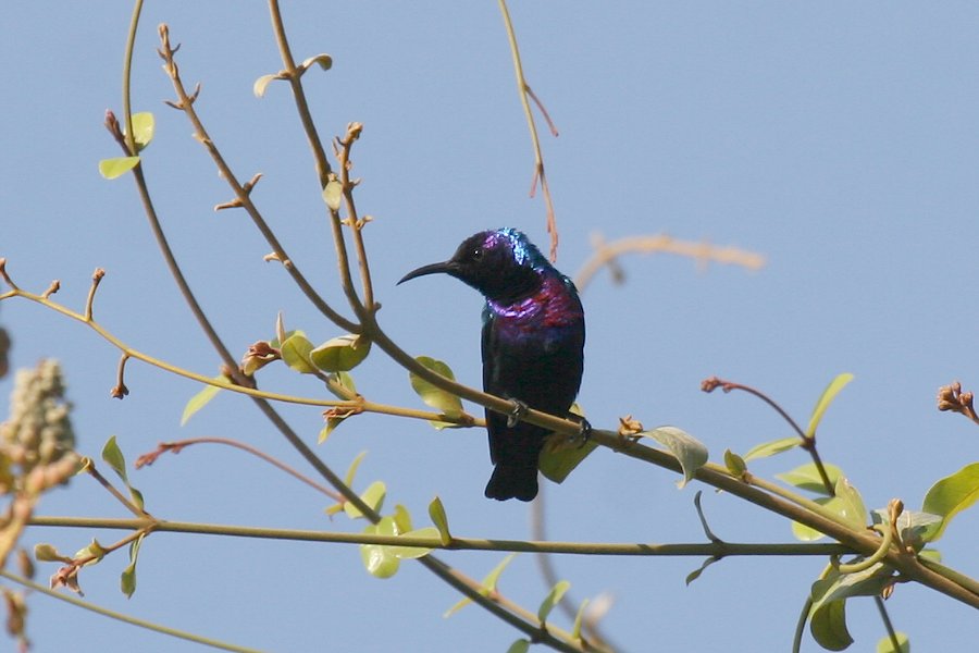 �j�V�L�^�C���E�`���E