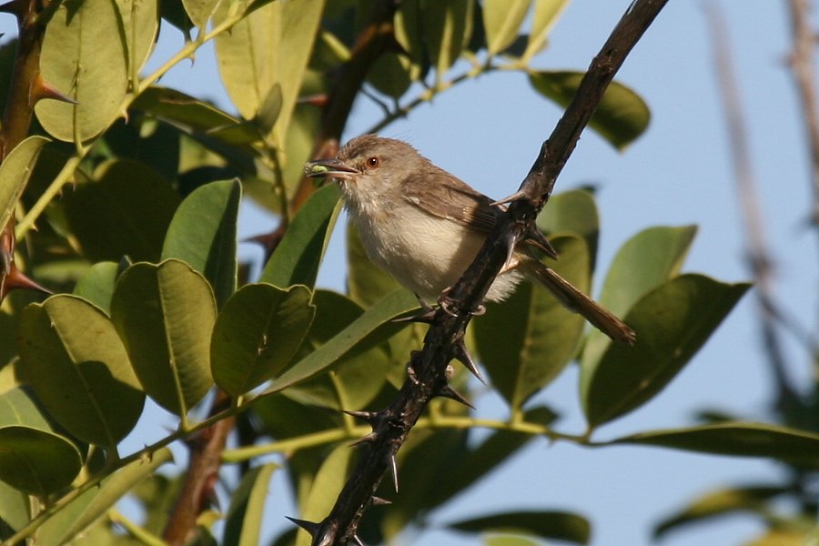 �}�~�n�E�`���h��