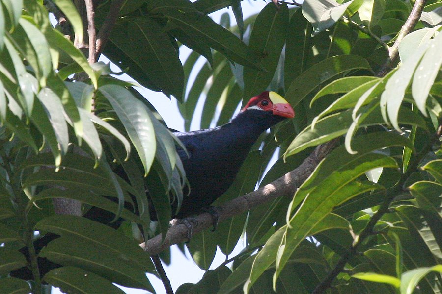 �j�V�����T�L�G�{�V�h��