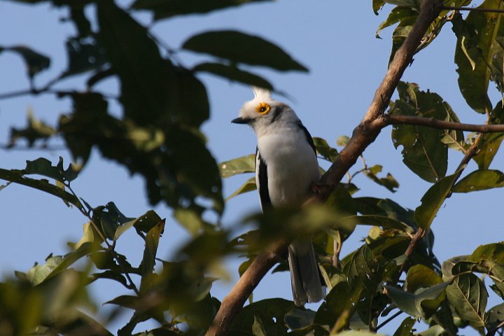 �G�{�V���K�l���Y