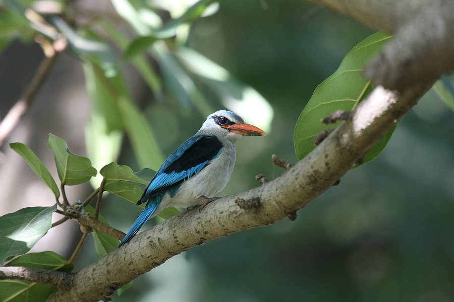 �Z�l�K���V���E�r��