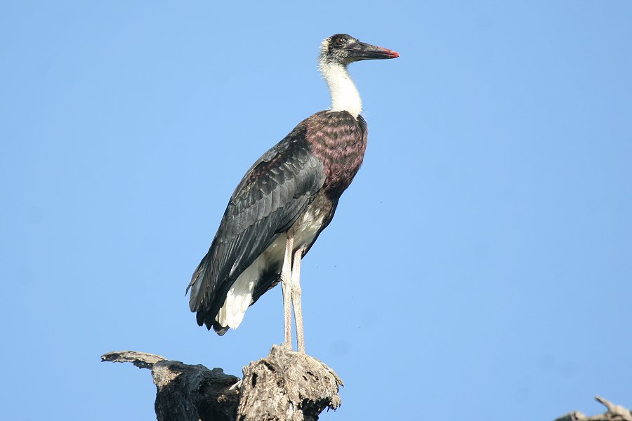 �G���r�R�E