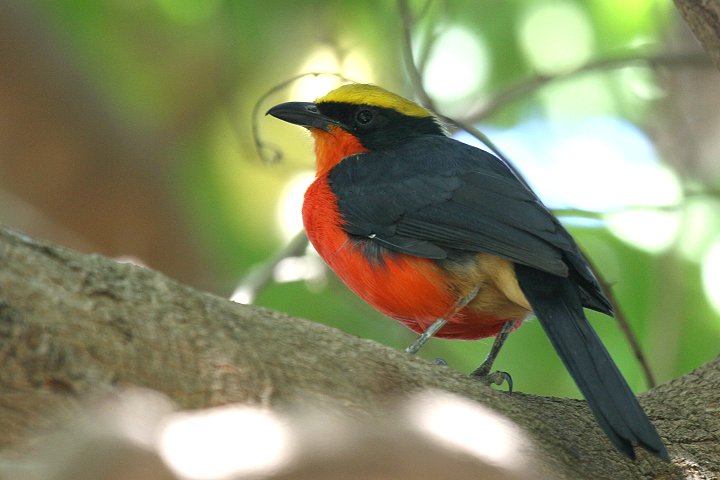 �A�J�n�����u���Y