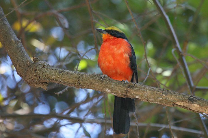 �A�J�n�����u���Y