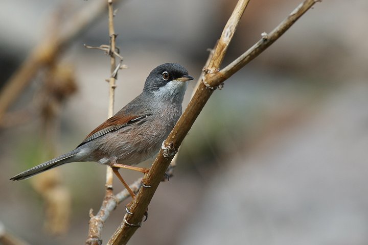 �~�i�~�m�h�W�����V�N�C