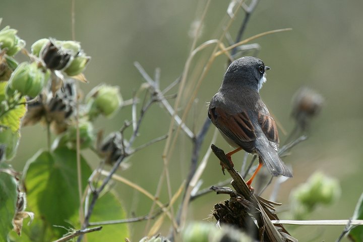 �~�i�~�m�h�W�����V�N�C