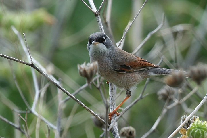 �~�i�~�m�h�W�����V�N�C