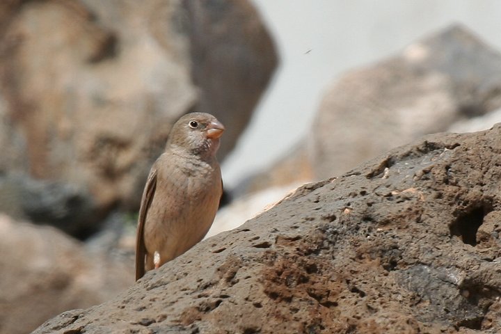 �i�L�}�V�R