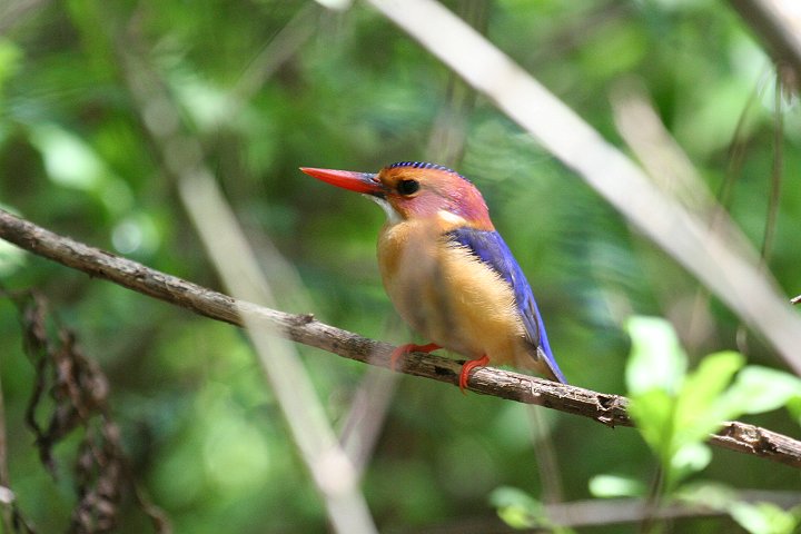 �q���V���E�r��