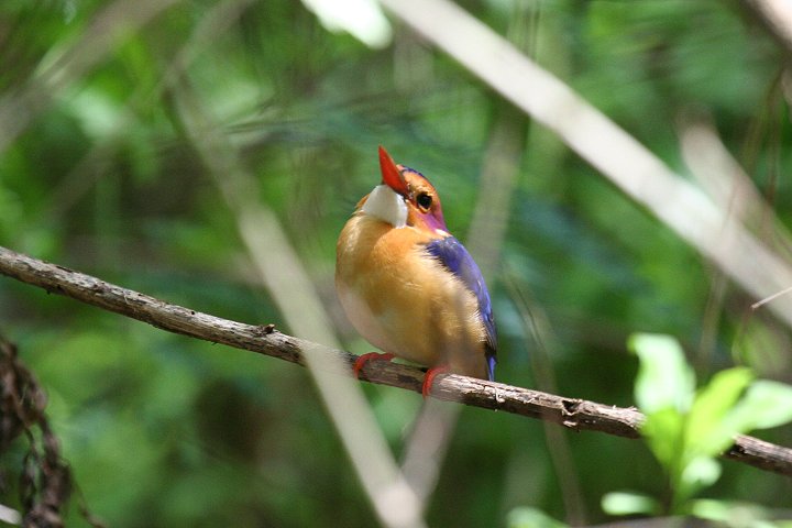 �q���V���E�r��