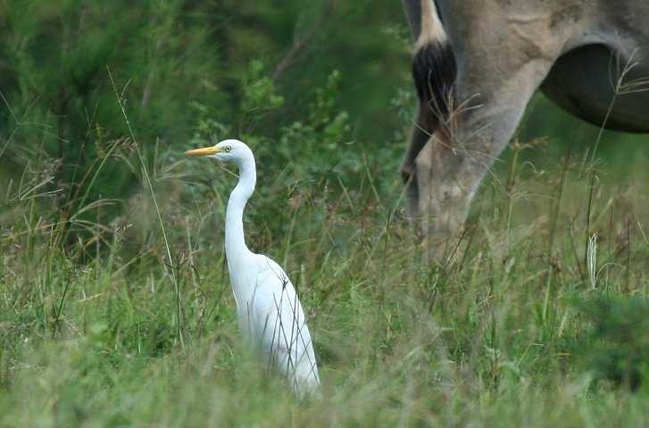 �`���E�T�M