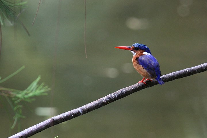 �J�������J���Z�~