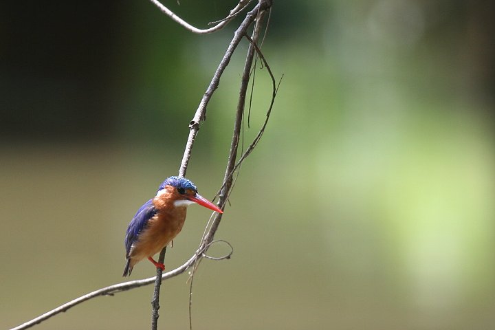 �J�������J���Z�~