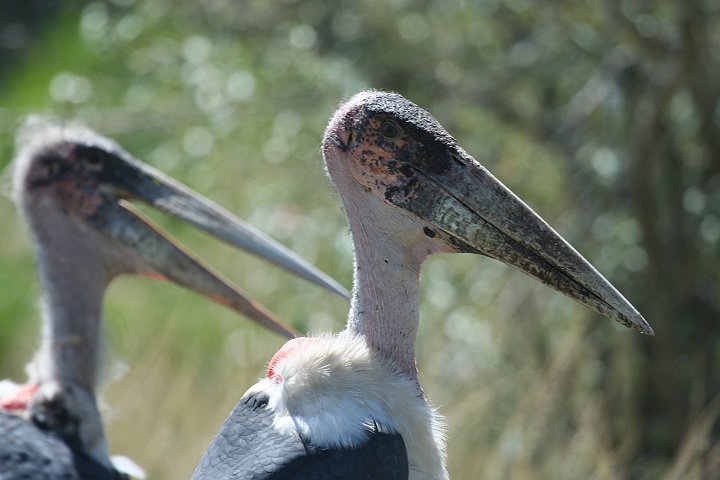 �A�t���J�n�Q�R�E