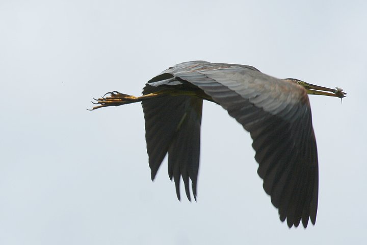 �����T�L�T�M