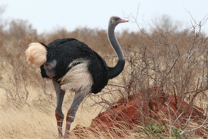 �\�}���A�_�`���E