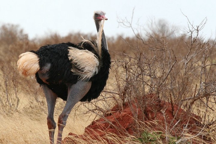 �\�}���A�_�`���E