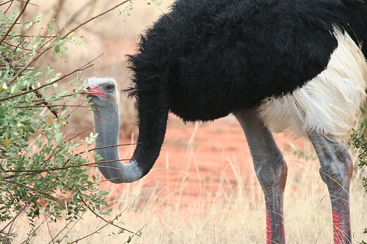 �\�}���A�_�`���E