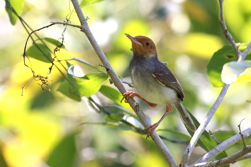 �A�J�K�I�T�C�z�E�`���E