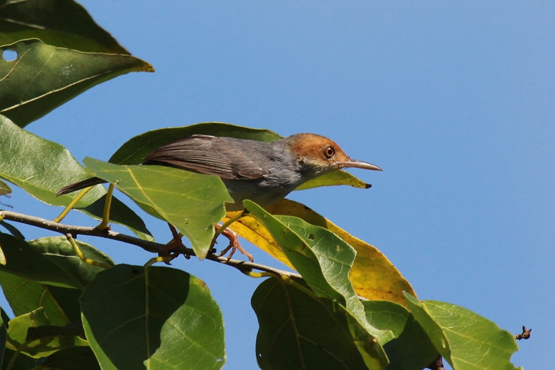 �A�J�K�I�T�C�z�E�`���E