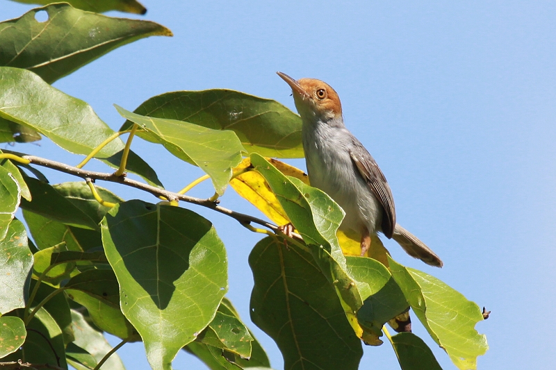 �A�J�K�I�T�C�z�E�`���E