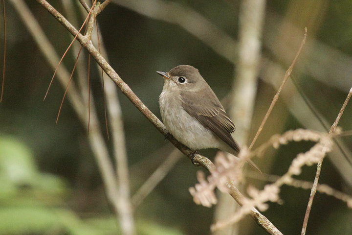 �R�T���r�^�L