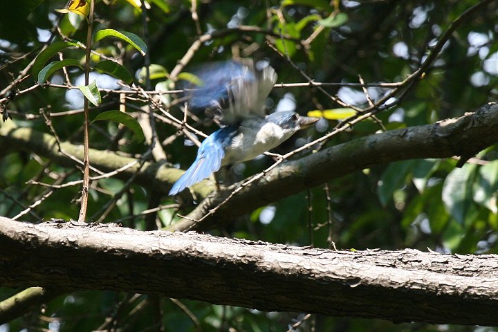 �i�����E�V���E�r��