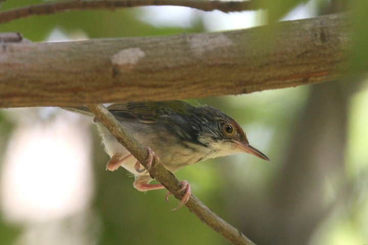 �I�i�K�T�C�z�E�`���E