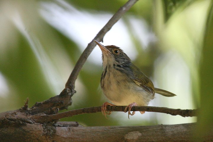 �I�i�K�T�C�z�E�`���E