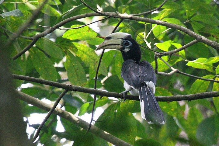 �L�^�J�T�T�M�T�C�`���E