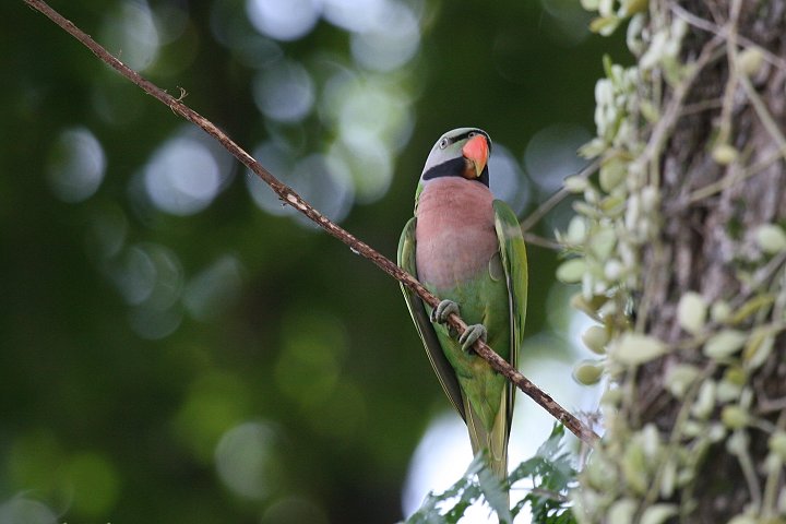 �_���}�C���R