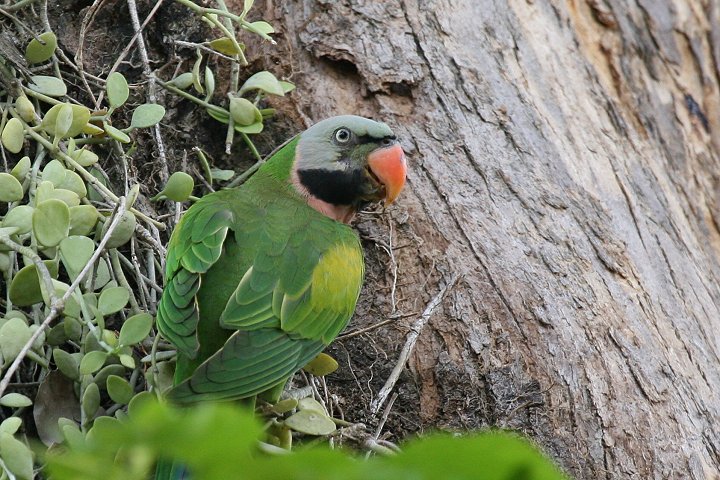 �_���}�C���R