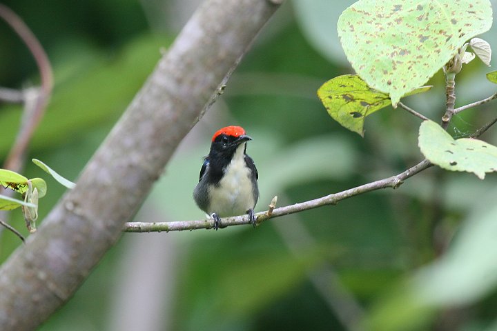 �Z�A�J�n�i�h��