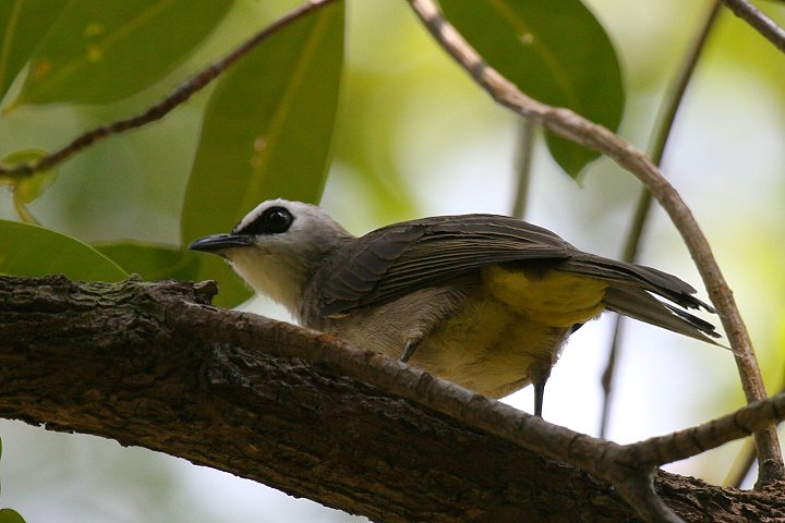 ���O���q���h��