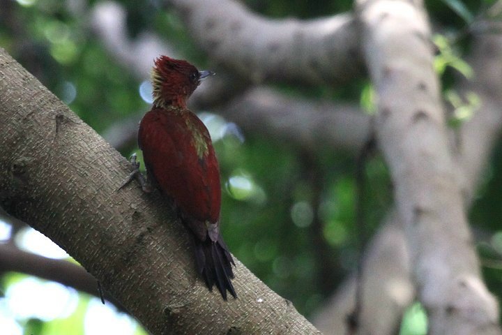 �V�}�x�j�A�I�Q��