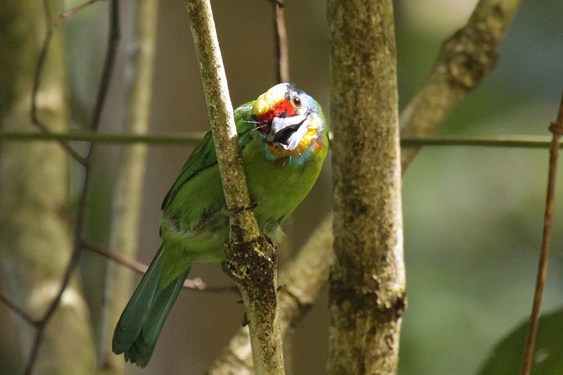 �S�V�L�h��