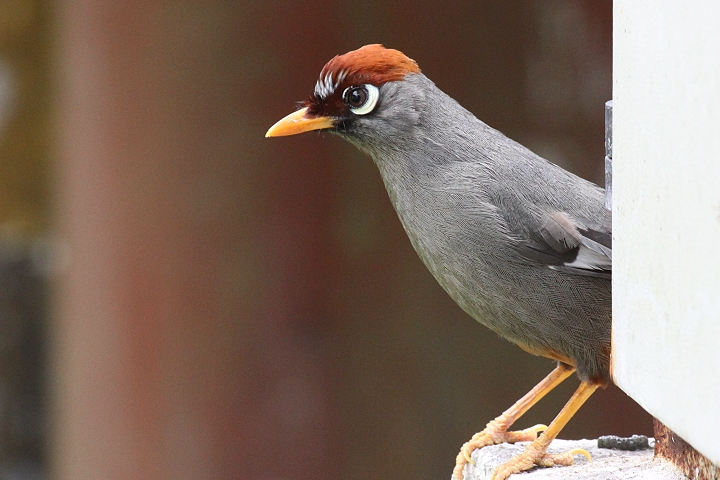 �`���K�V���K�r�`���E