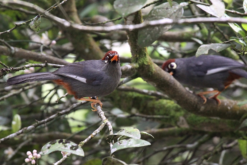 �`���K�V���K�r�`���E