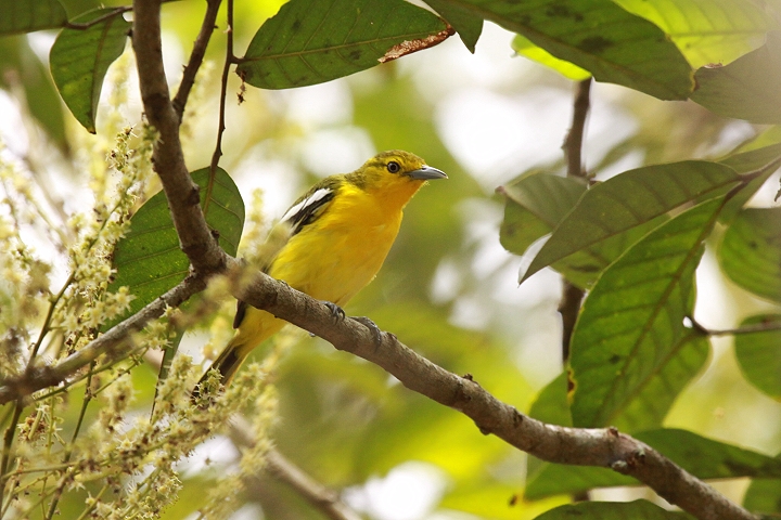 �q���R�m�n�h��