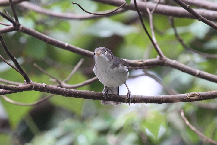 ���W���`���C���q��