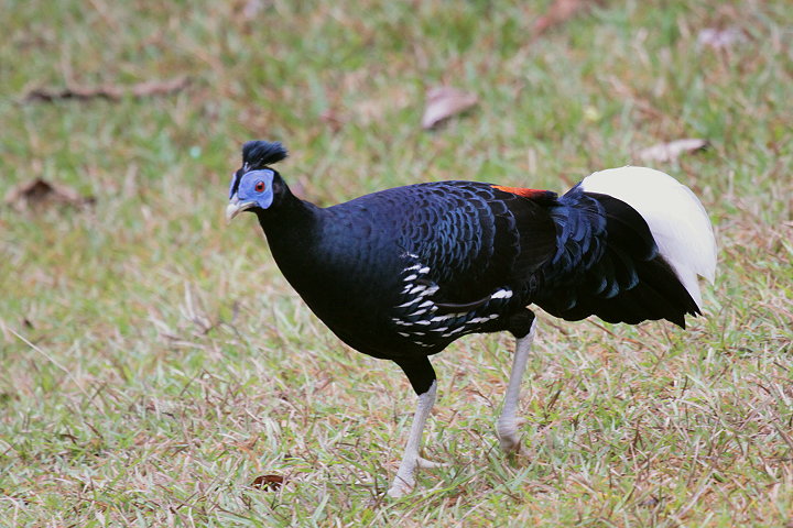 �R�V�A�J�L�W