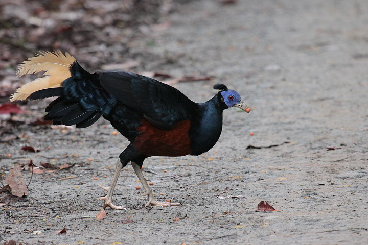 �R�V�A�J�L�W