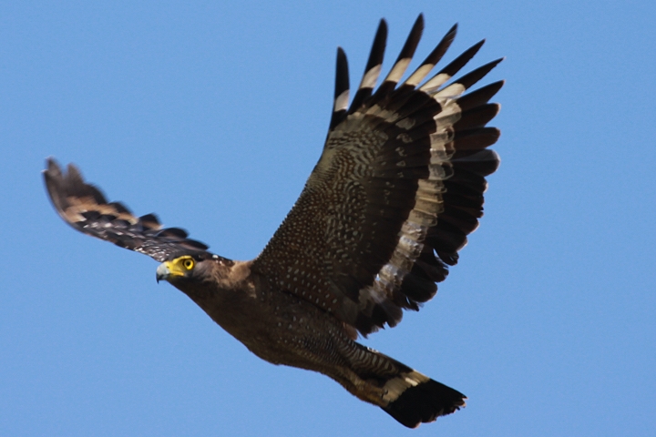 �~�i�~�J���������V